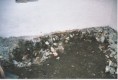 /album/kaelderen1/kld13-jpg/